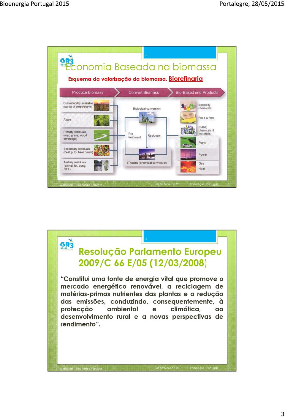 promove o mercado energético renovável, a reciclagem de matérias-primas nutrientes das plantas e a redução das