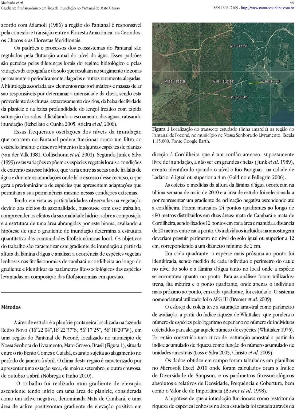 Esses padrões são gerados pelas diferenças locais do regime hidrológico e pelas variações da topografia e do solo que resultam no surgimento de zonas permanente e periodicamente alagadas e outras