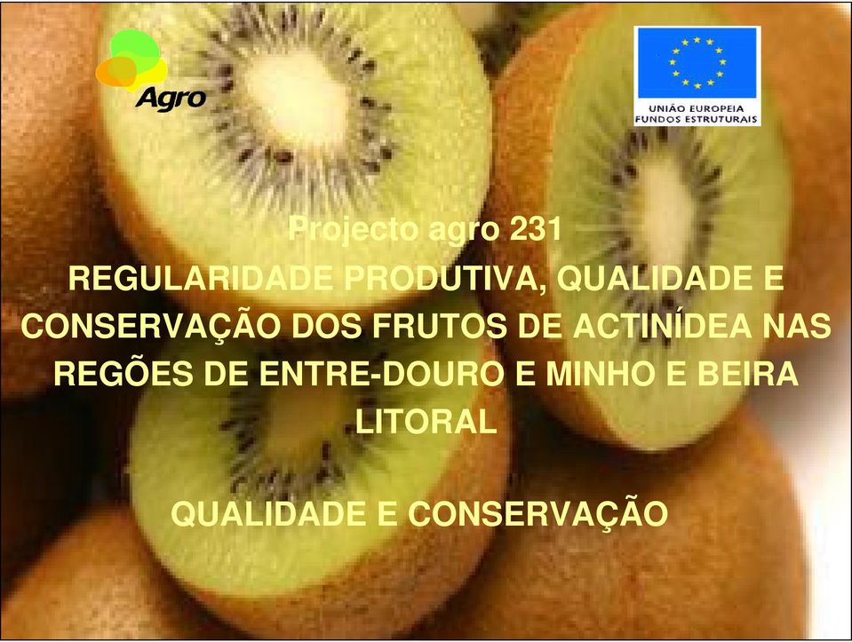 FRUTOS DE ACTINÍDEA NAS REGÕES DE