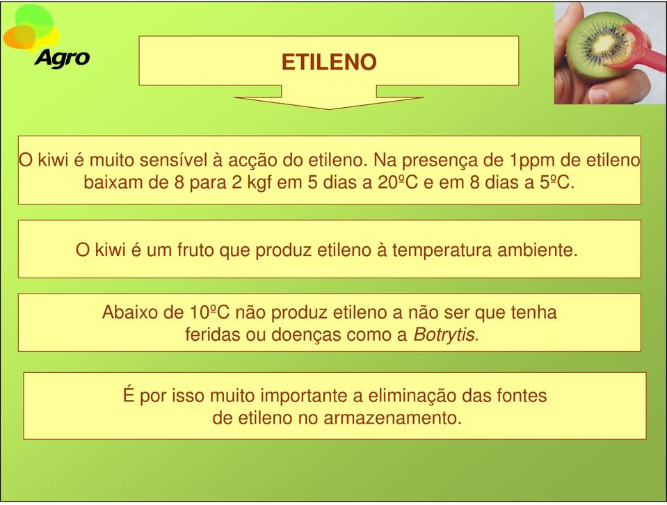 O kiwi é um fruto que produz etileno à temperatura ambiente.