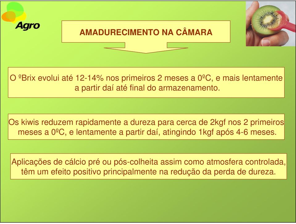 Os kiwis reduzem rapidamente a dureza para cerca de 2kgf nos 2 primeiros meses a 0ºC, e lentamente a