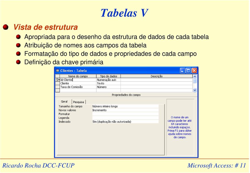 campos da tabela Formatação do tipo de dados e propriedades