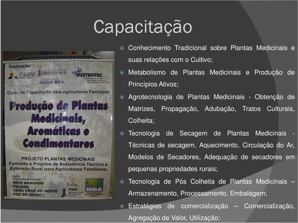 Medicinais - Técnicas de secagem, Aquecimento, Circulação do Ar, Modelos de Secadores, Adequação de secadores em pequenas propriedades rurais; Tecnologia