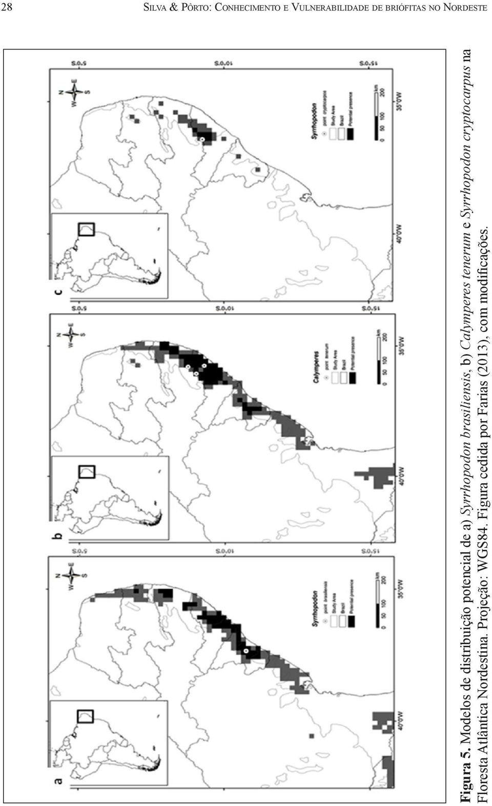 Modelos de distribuição potencial de a) Syrrhopodon brasiliensis, b)