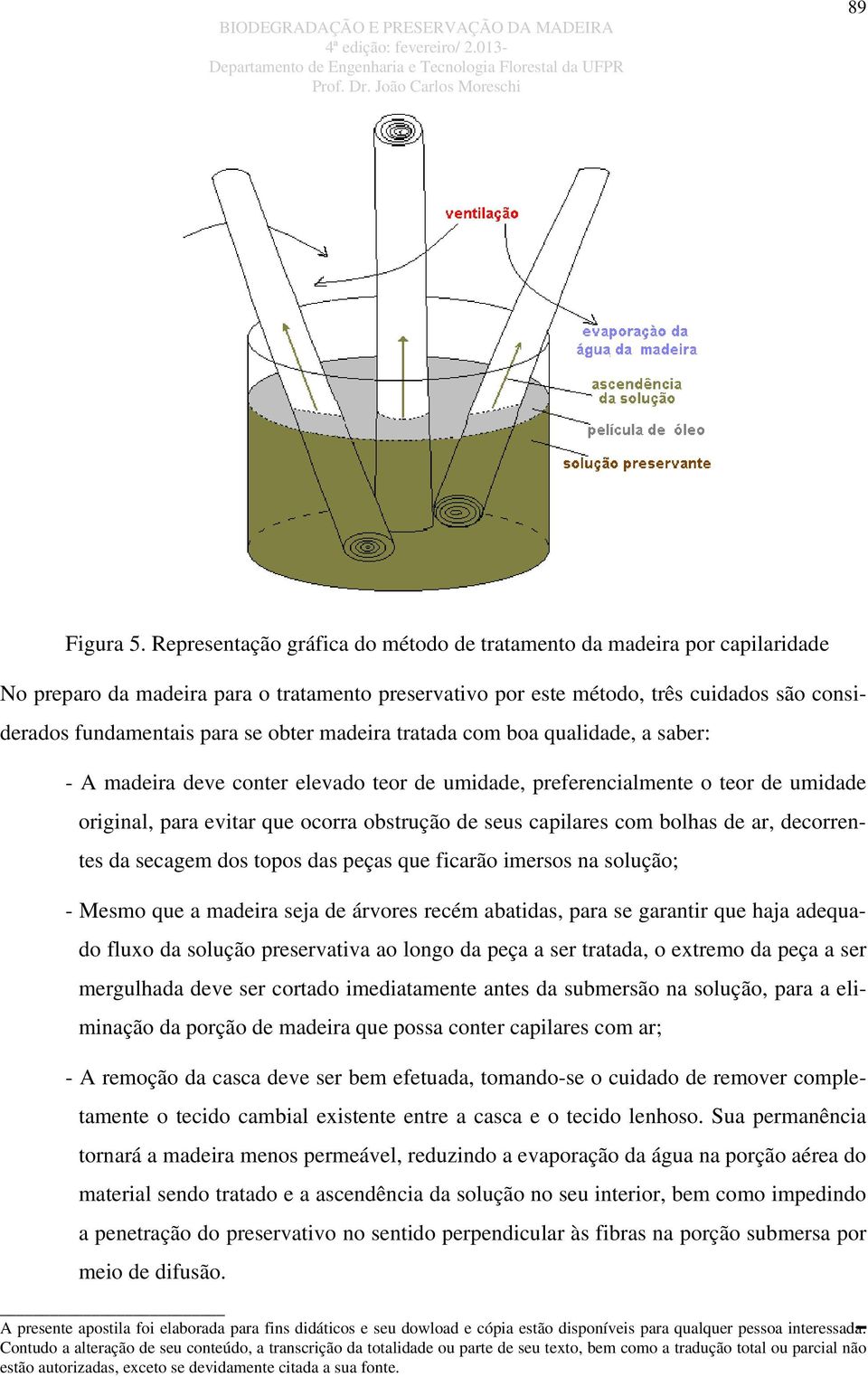 obter madeira tratada com boa qualidade, a saber: - A madeira deve conter elevado teor de umidade, preferencialmente o teor de umidade original, para evitar que ocorra obstrução de seus capilares com