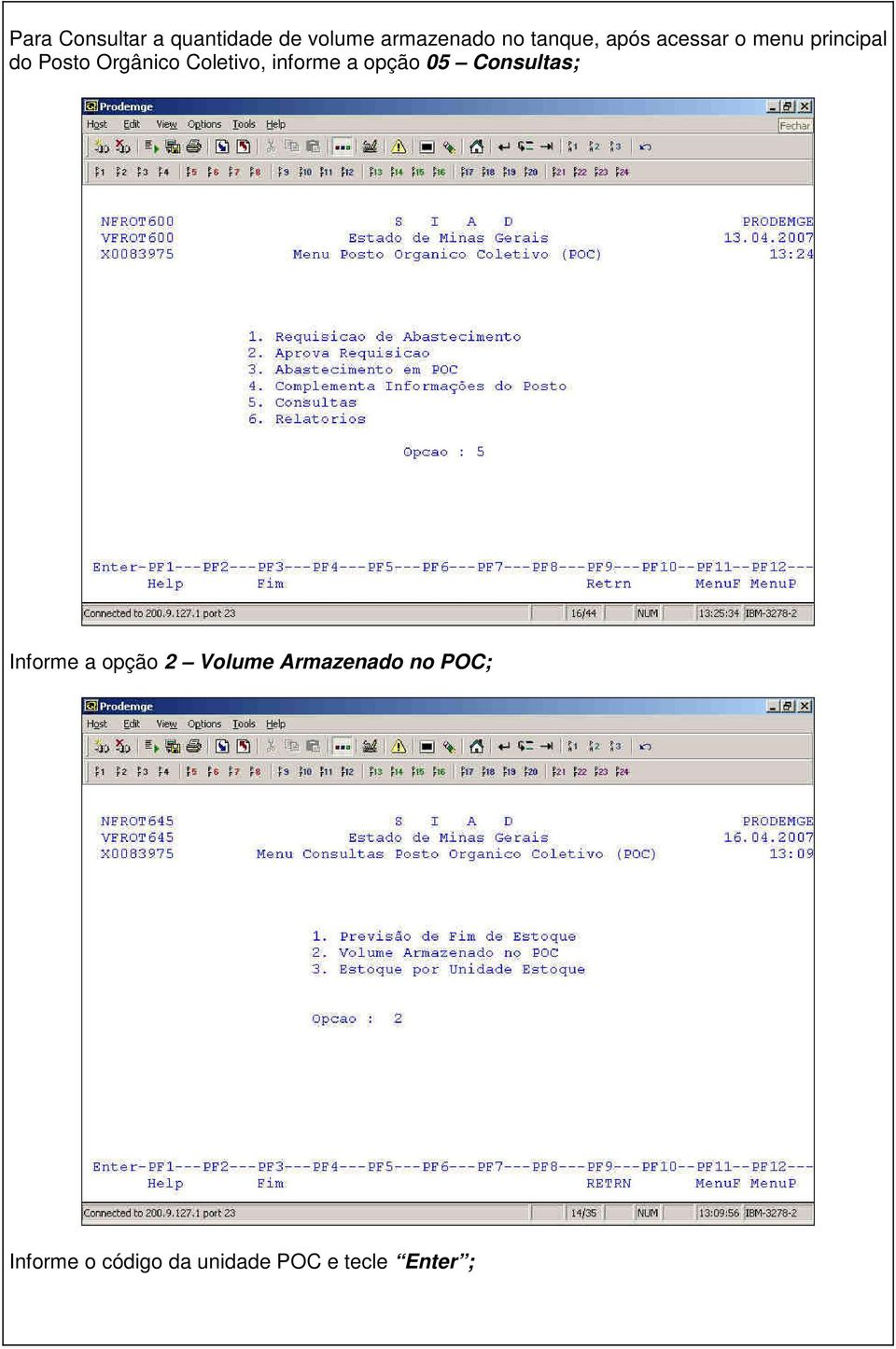 informe a opção 05 Consultas; Informe a opção 2 Volume