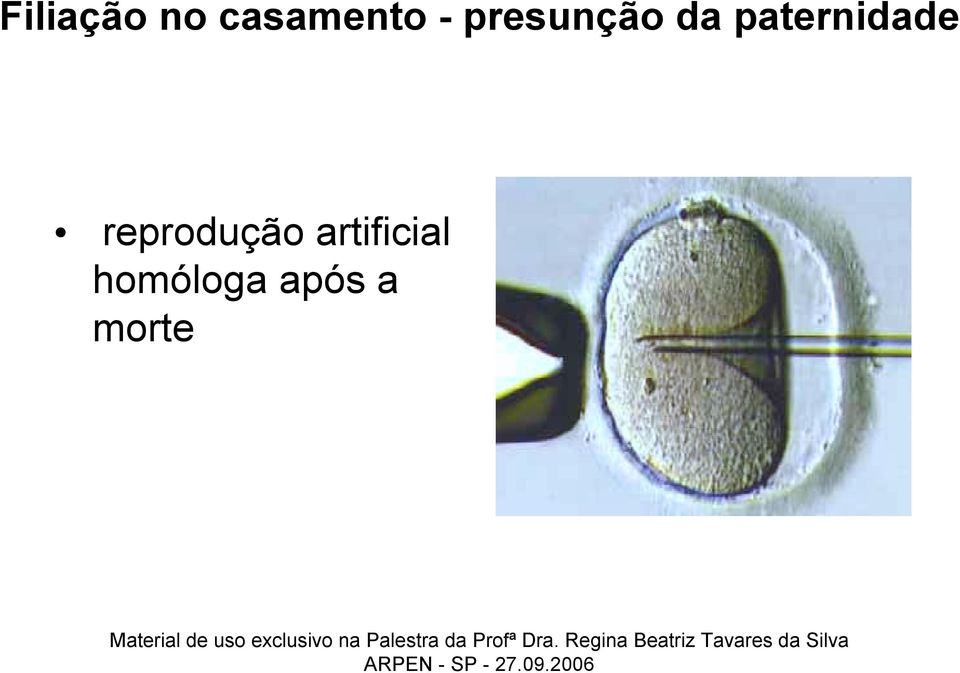 paternidade reprodução