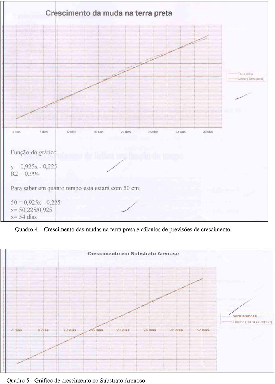 previsões de crescimento.