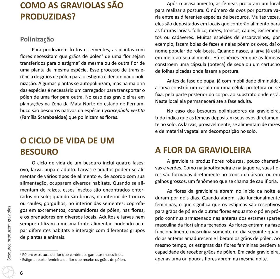 espécie. Esse processo de transferência de grãos de pólen para o estigma é denominado polinização.