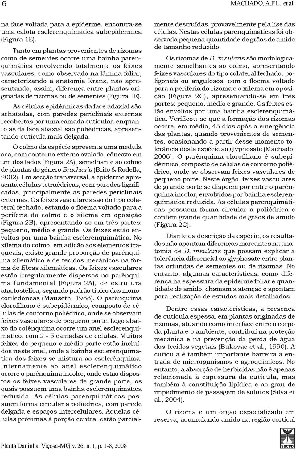 Kranz, não apresentando, assim, diferença entre plantas originadas de rizomas ou de sementes (Figura 1E).