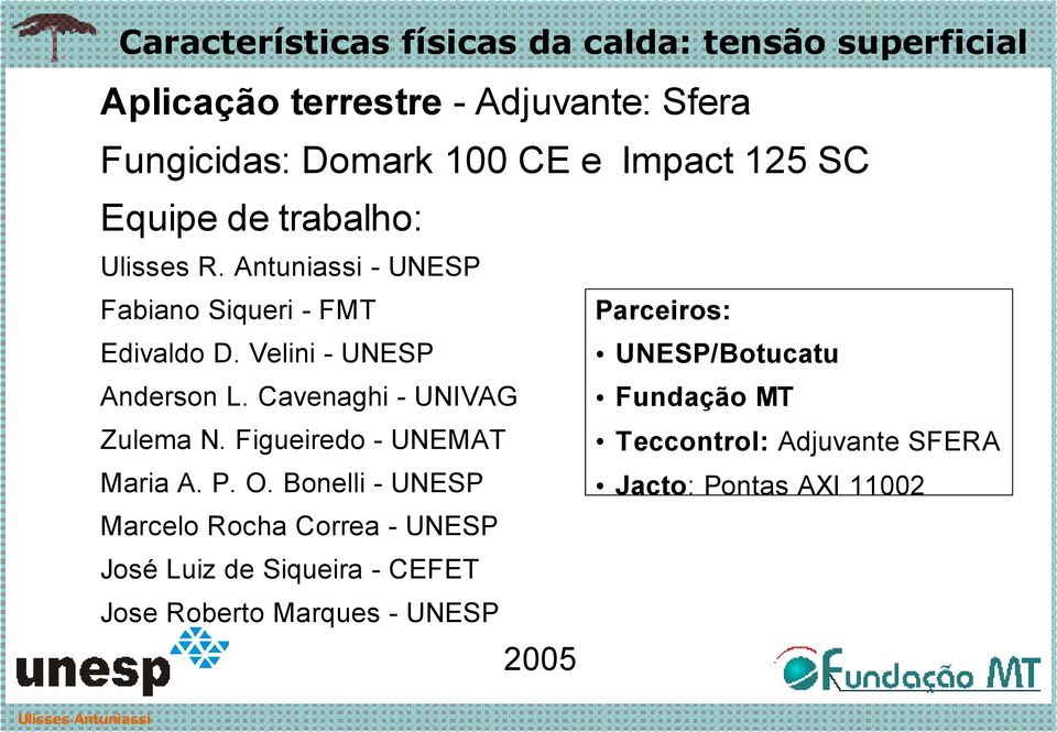 Velini - UNESP UNESP/Botucatu Anderson L. Cavenaghi - UNIVAG Fundação MT Zulema N.