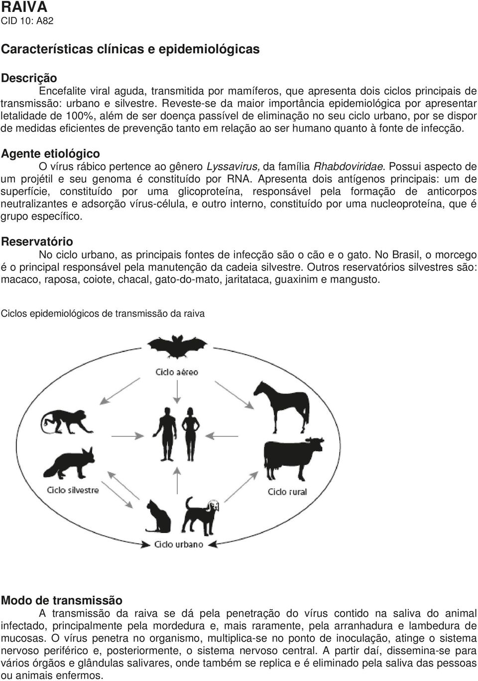 em relação ao ser humano quanto à fonte de infecção. Agente etiológico O vírus rábico pertence ao gênero Lyssavirus, da família Rhabdoviridae.