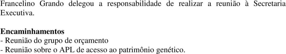 Encaminhamentos - Reunião do grupo de orçamento