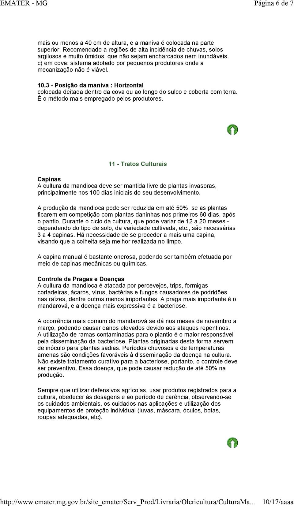 com terra É o método mais empregado pelos produtores 11 - Tratos Culturais Capinas A cultura da mandioca deve ser mantida livre de plantas invasoras, principalmente nos 100 dias iniciais do seu