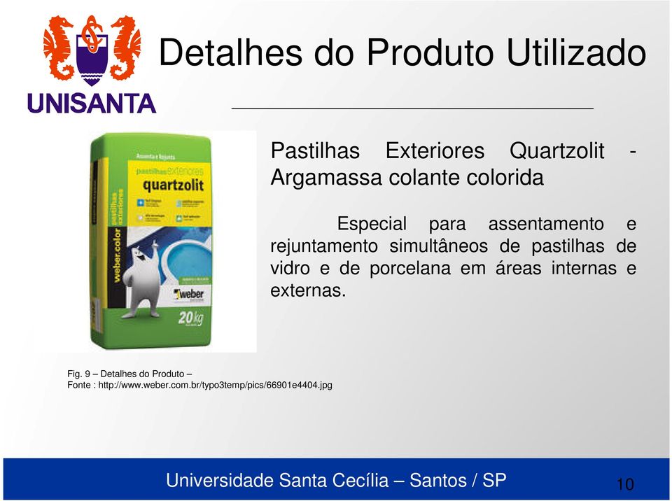 pastilhas de vidro e de porcelana em áreas internas e externas. Fig.