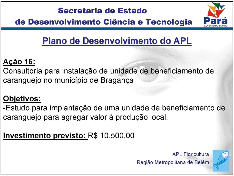 para implantação de uma unidade de beneficiamento de