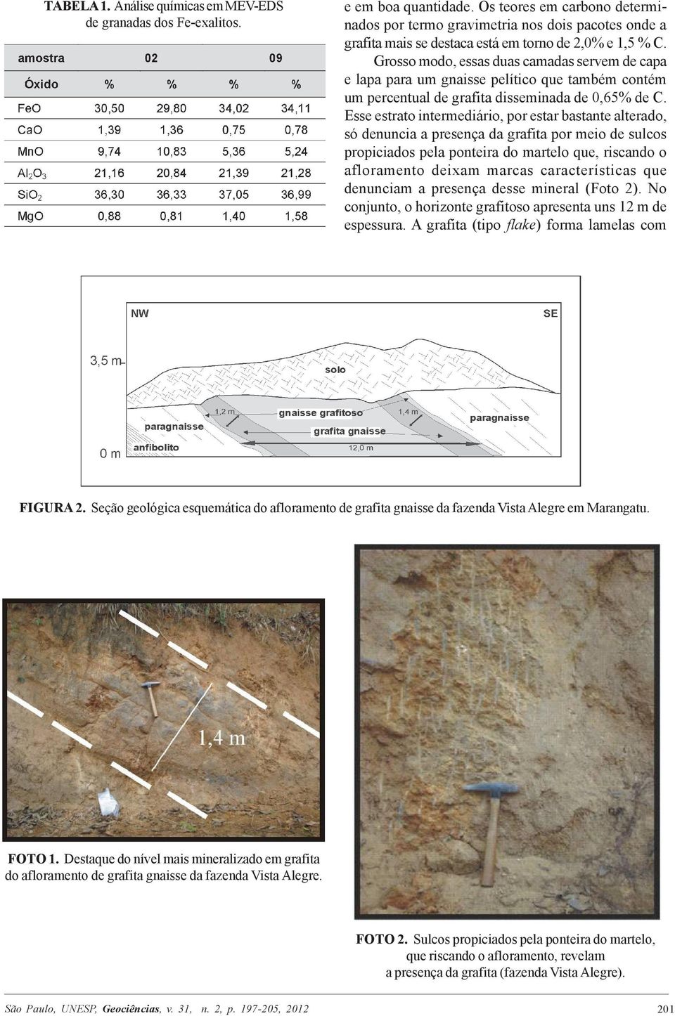 Grosso modo, essas duas camadas servem de capa e lapa para um gnaisse pelítico que também contém um percentual de grafita disseminada de 0,65% de C.