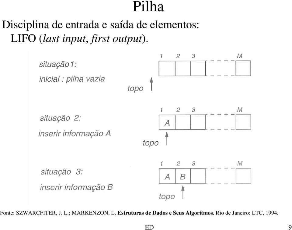 Fonte: SZWARCFITER, J. L.; MARKENZON, L.