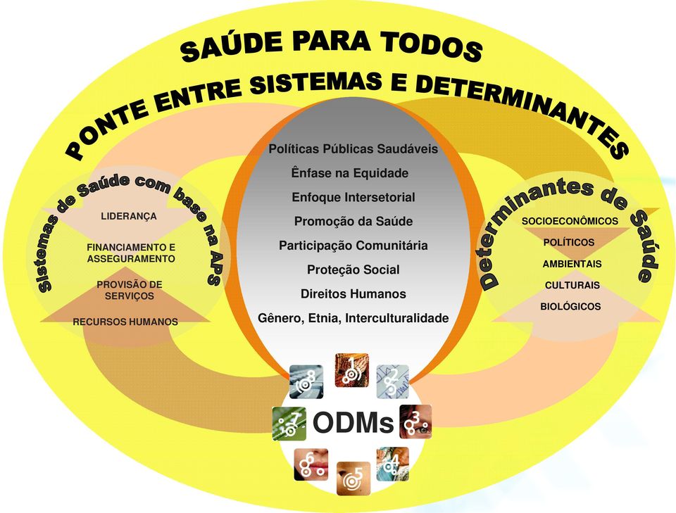 da Saúde Participação Comunitária Proteção Social Direitos Humanos Gênero,