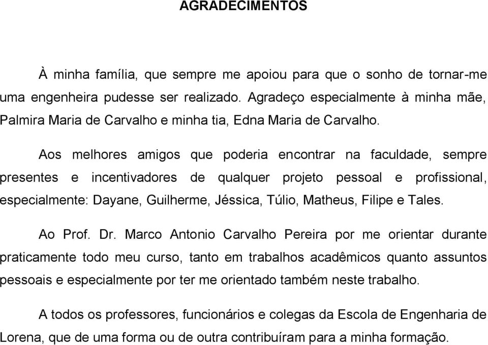 Aos melhores amigos que poderia encontrar na faculdade, sempre presentes e incentivadores de qualquer projeto pessoal e profissional, especialmente: Dayane, Guilherme, Jéssica, Túlio, Matheus,