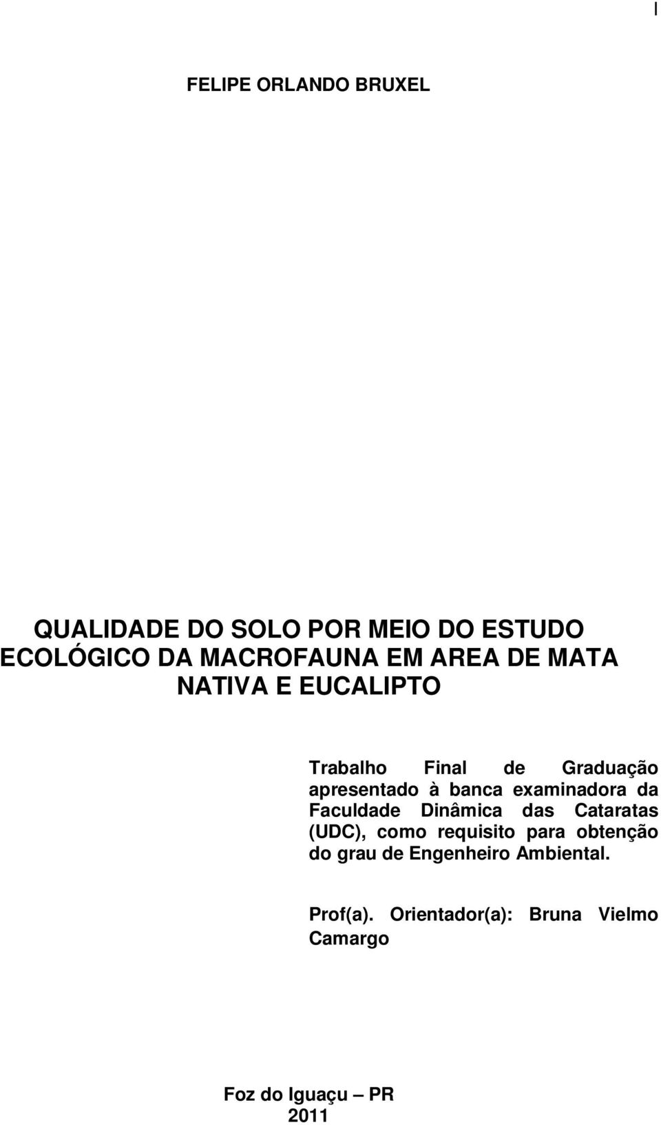 examinadora da Faculdade Dinâmica das Cataratas (UDC), como requisito para obtenção do