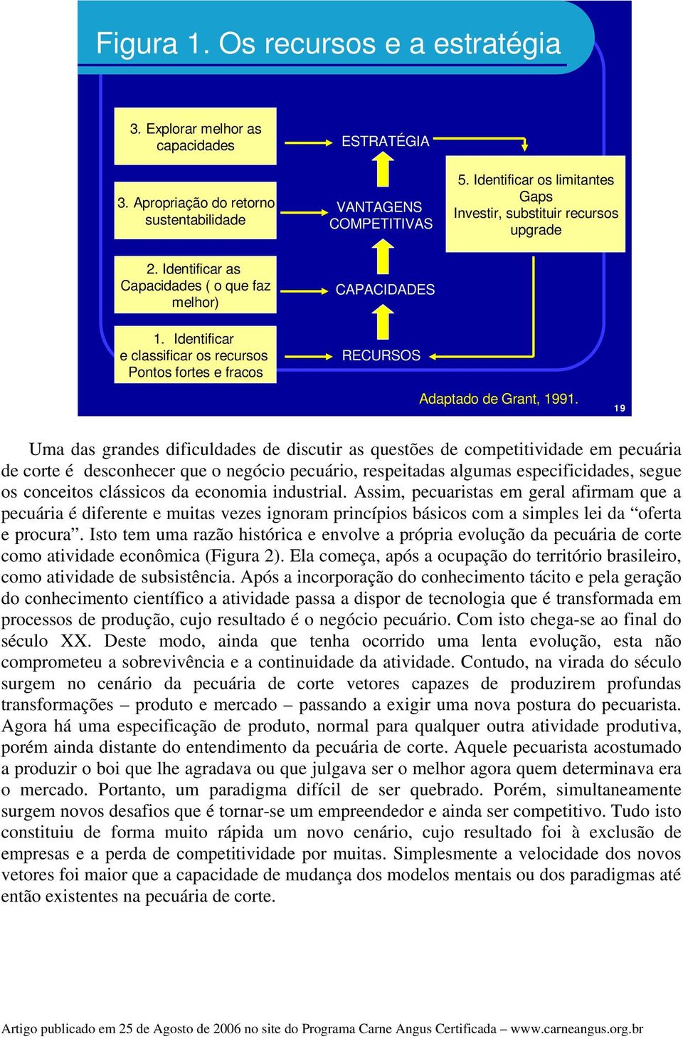 Identificar e classificar os recursos Pontos fortes e fracos RECURSOS Adaptado de Grant, 1991.