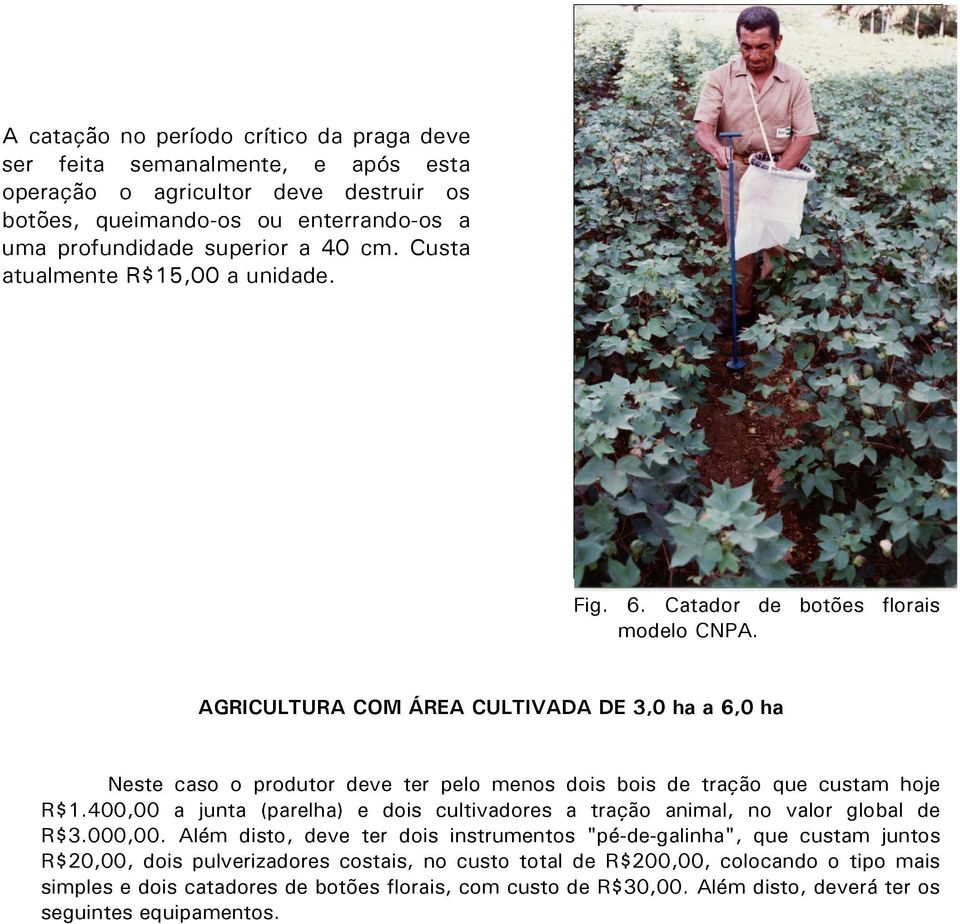 AGRICULTURA COM ÁREA CULTIVADA DE 3,0 ha a 6,0 ha Neste caso o produtor deve ter pelo menos dois bois de tração que custam hoje R$1.