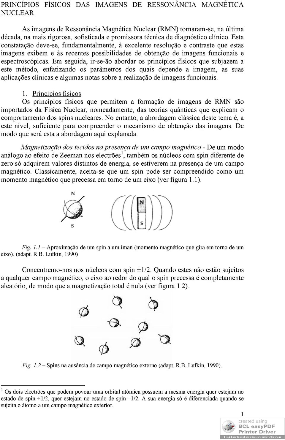 Esta constatação deve-se, fundamentalmente, à excelente resolução e contraste que estas imagens exibem e às recentes possibilidades de obtenção de imagens funcionais e espectroscópicas.