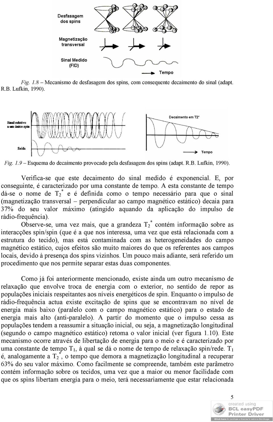 A esta constante de tempo dá-se o nome de T * 2 e é definida como o tempo necessário para que o sinal (magnetização transversal perpendicular ao campo magnético estático) decaia para 37% do seu valor