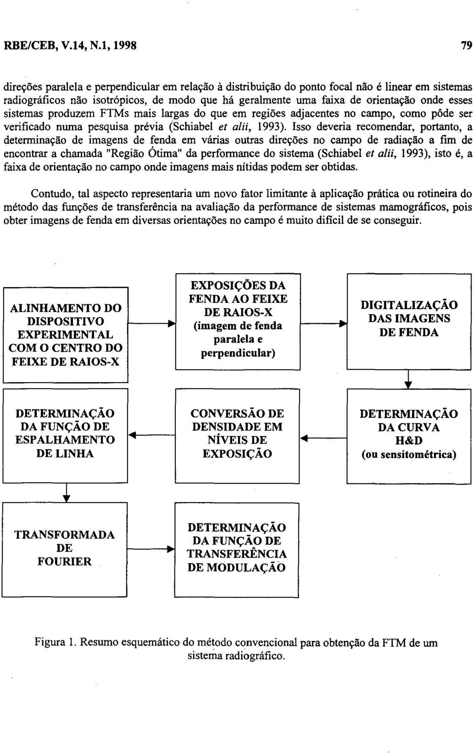 esses sistemas produzem FTMs mais largas do que em regiões adjacentes no campo, como pôde ser verificado numa pesquisa prévia (Schiabel et alii, 1993).