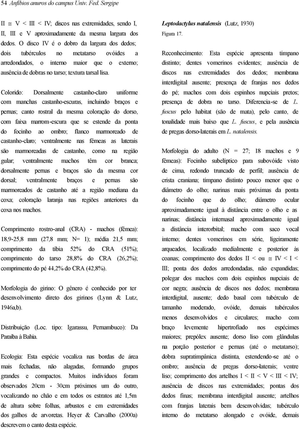 Colorido: Dorsalmente castanho-claro uniforme com manchas castanho-escuras, incluindo braços e pernas; canto rostral da mesma coloração do dorso, com faixa marrom-escura que se estende da ponta do