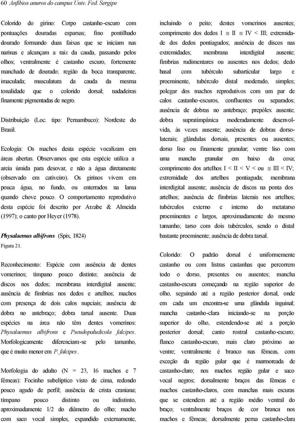 olhos; ventralmente é castanho escuro, fortemente manchado de dourado; região da boca transparente, imaculada; musculatura da cauda da mesma tonalidade que o colorido dorsal; nadadeiras finamente