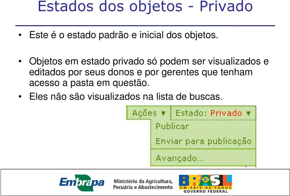 Objetos em estado privado só podem ser visualizados e editados