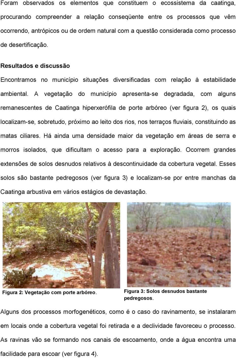 A vegetação do município apresenta-se degradada, com alguns remanescentes de Caatinga hiperxerófila de porte arbóreo (ver figura 2), os quais localizam-se, sobretudo, próximo ao leito dos rios, nos