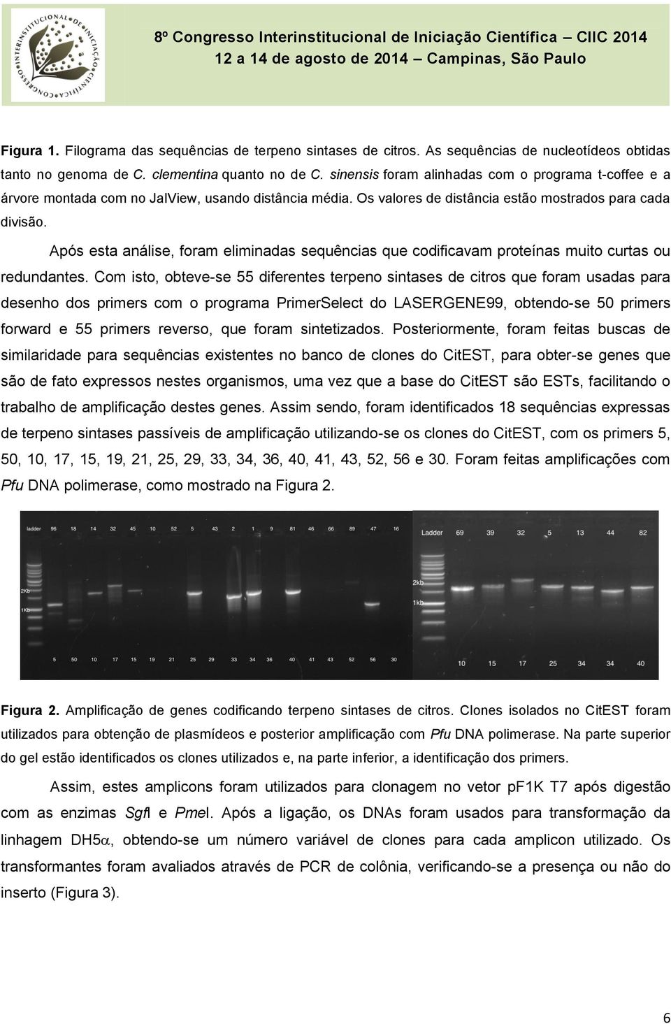 Após esta análise, foram eliminadas sequências que codificavam proteínas muito curtas ou redundantes.