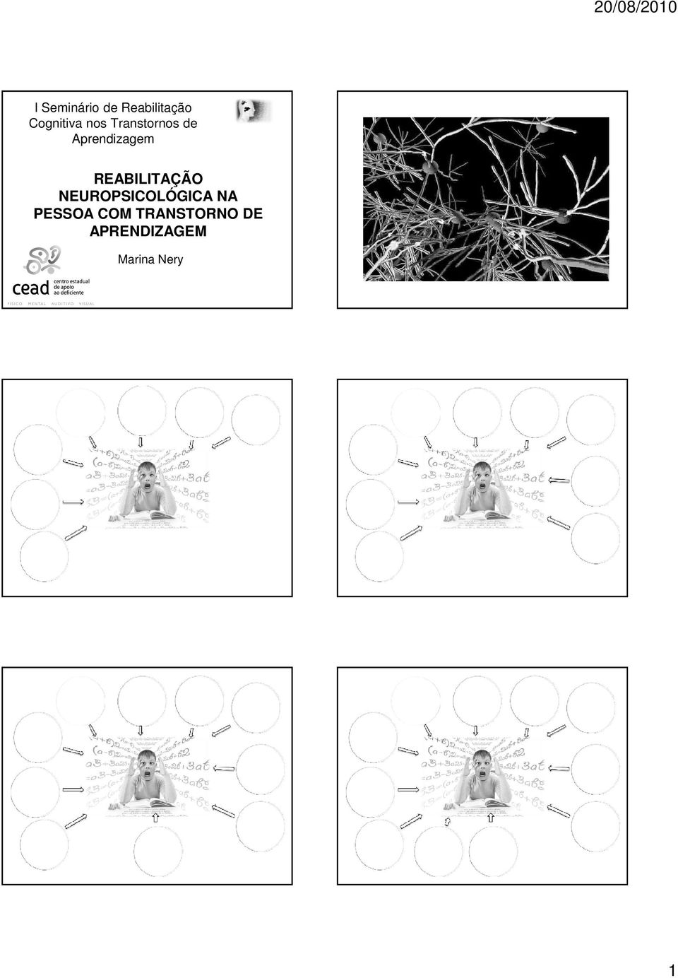 REABILITAÇÃO NEUROPSICOLÓGICA NA