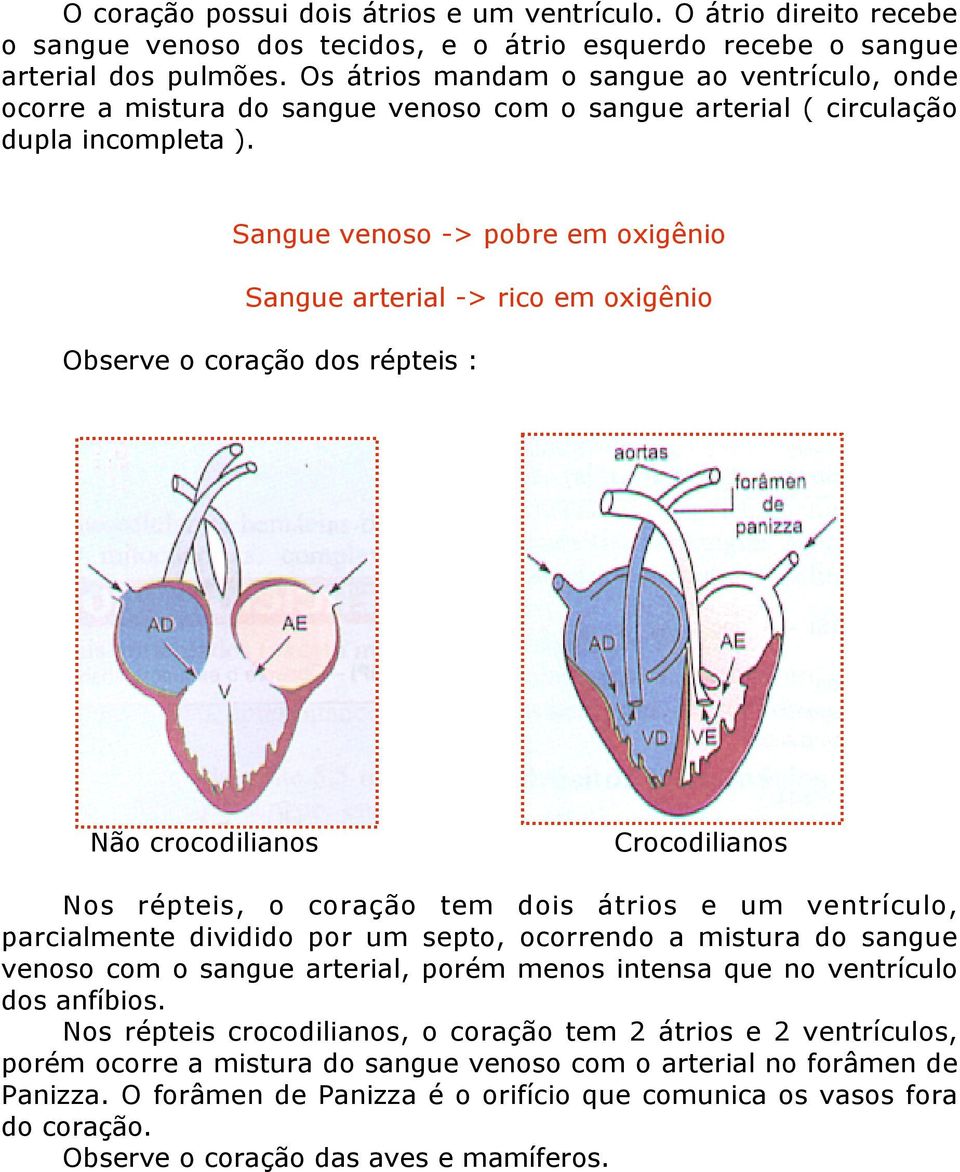 Sangue venoso -> pobre em oxigênio Sangue arterial -> rico em oxigênio Observe o coração dos répteis : Não crocodilianos Crocodilianos Nos répteis, o coração tem dois átrios e um ventrículo,