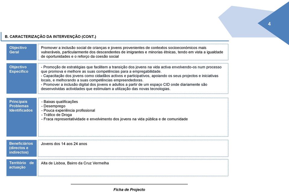 minorias étnicas, tendo em vista a igualdade de oportunidades e o reforço da coesão social - Promoção de estratégias que facilitem a transição dos jovens na vida activa envolvendo-os num processo que