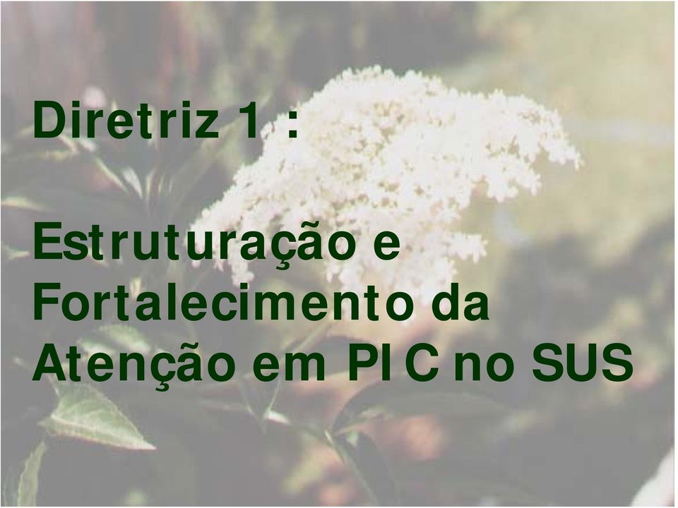 Fortalecimento