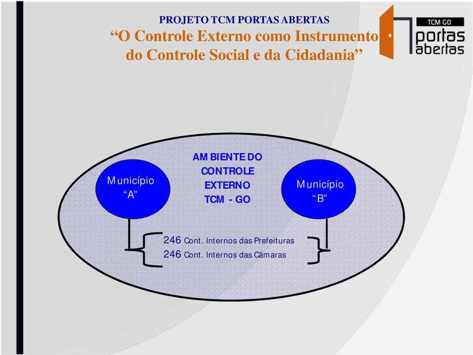 A AMBIENTE DO CONTROLE EXTERNO TCM - GO Município B 246