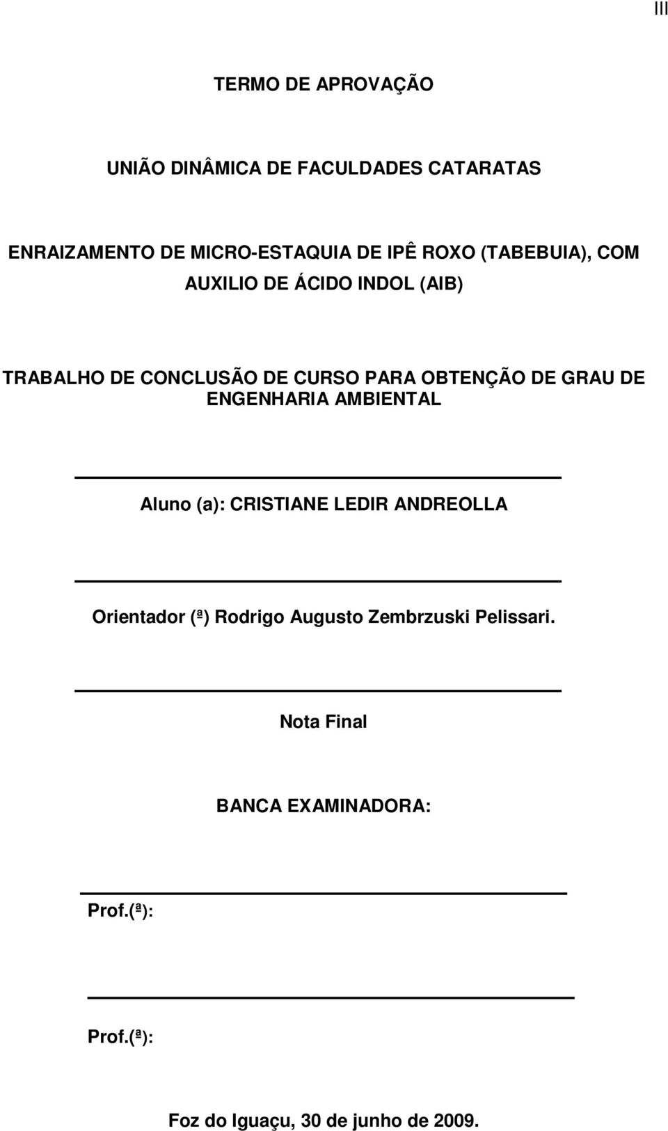 GRAU DE ENGENHARIA AMBIENTAL Aluno (a): CRISTIANE LEDIR ANDREOLLA Orientador (ª) Rodrigo Augusto