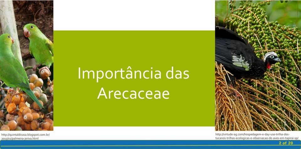 com/hospedagem- e- day- use- trilha- dos- tucanos-