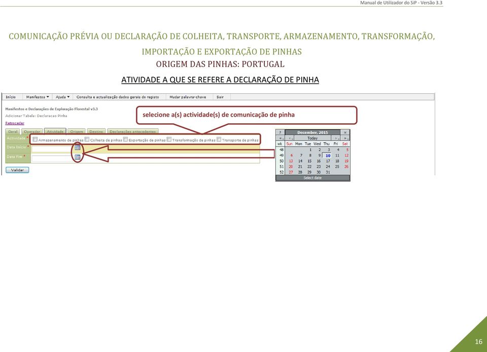 DECLARAÇÃO DE PINHA selecione