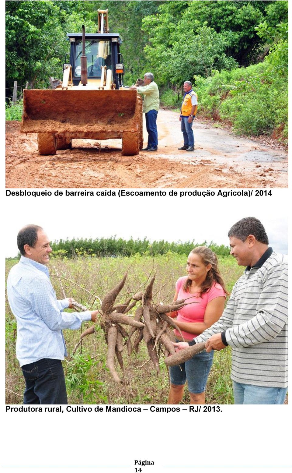 Agrícola)/ 2014 Produtora rural,