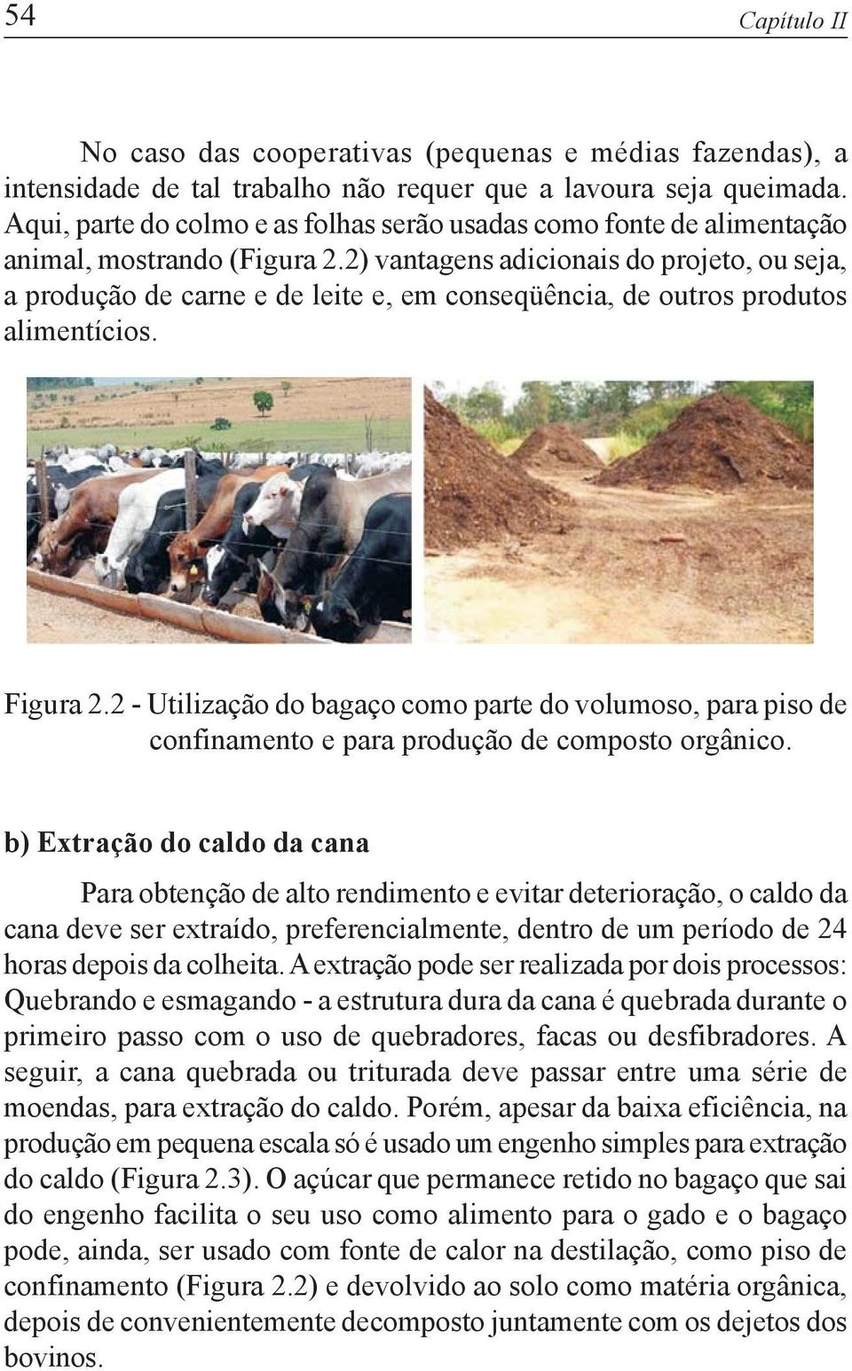 2) vantagens adicionais do projeto, ou seja, a produção de carne e de leite e, em conseqüência, de outros produtos alimentícios. Figura 2.