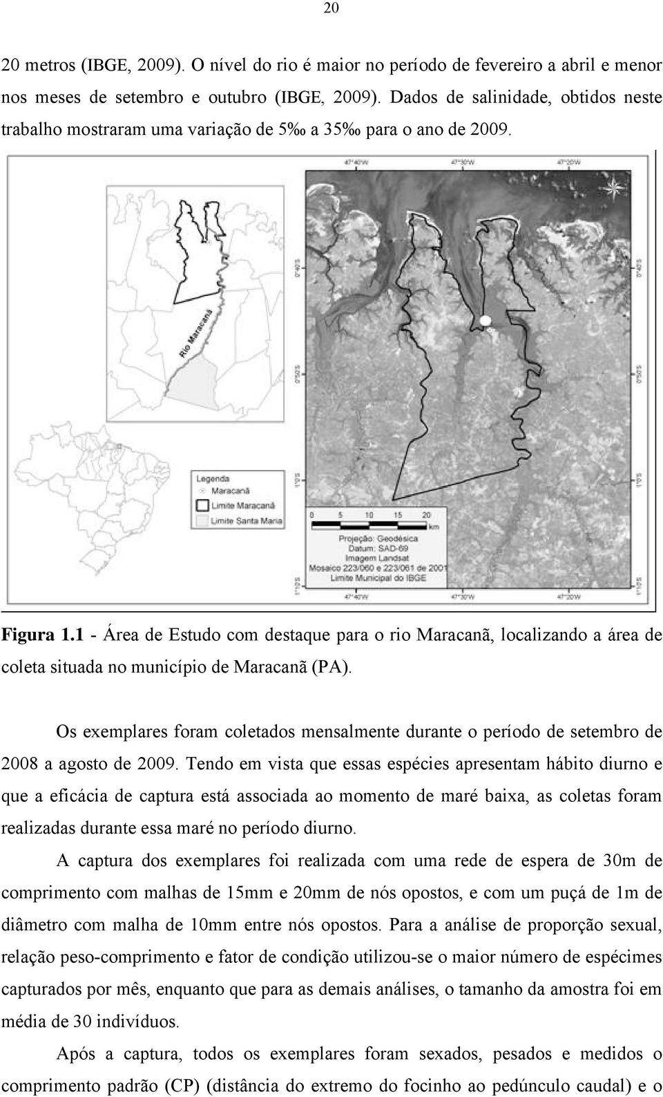 1 - Área de Estudo com destaque para o rio Maracanã, localizando a área de coleta situada no município de Maracanã (PA).