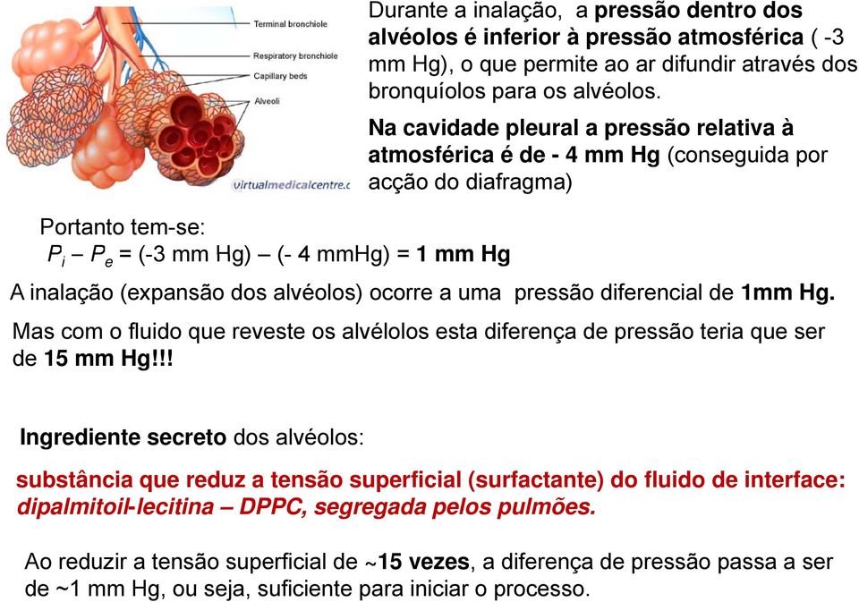 ocorre a uma pressão diferencial de 1mm Hg. Mas com o fluido que reveste os alvélolos esta diferença de pressão teria que ser de 15 mm Hg!