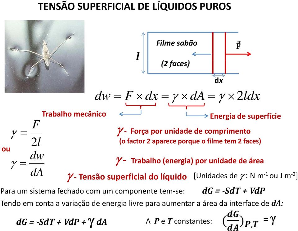 um componente tem se: γ Trabalho (energia) por unidade de área γ Tensão superficial do líquido [Unidades de γ : N m 1 ou J m 2 ] dg =
