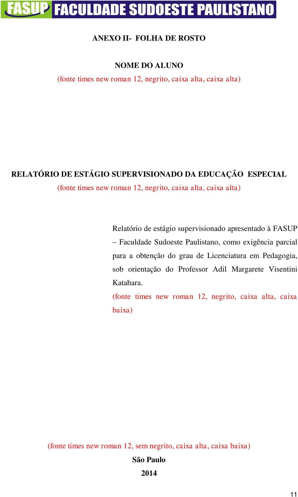 Paulistano, como exigência parcial para a obtenção do grau de Licenciatura em Pedagogia, sob orientação do Professor Adil Margarete Visentini