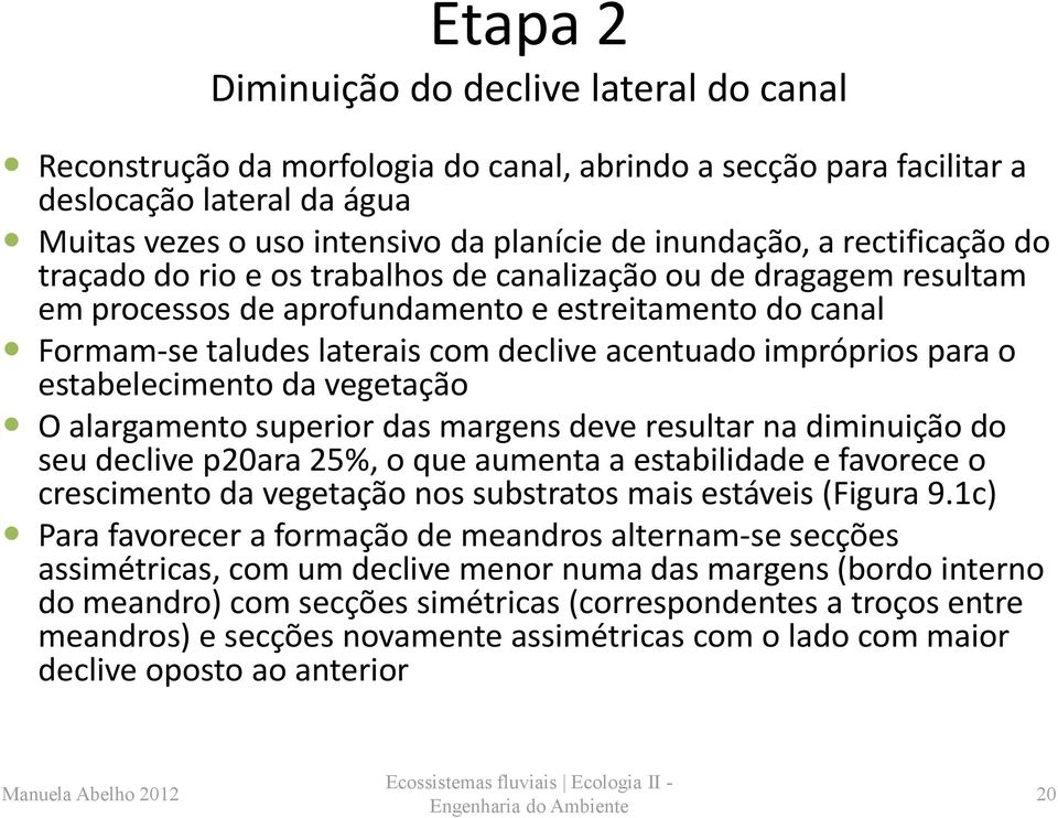 impróprios para o estabelecimento da vegetação O alargamento superior das margens deve resultar na diminuição do seu declive p20ara 25%, o que aumenta a estabilidade e favorece o crescimento da